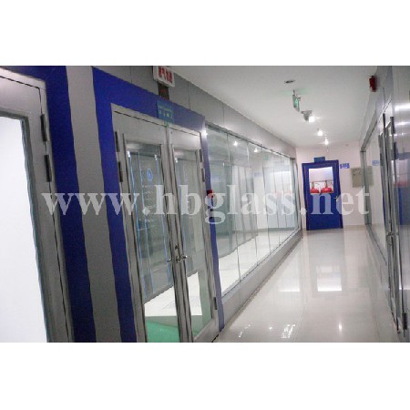 Ground Spring Fireproof Glass Door